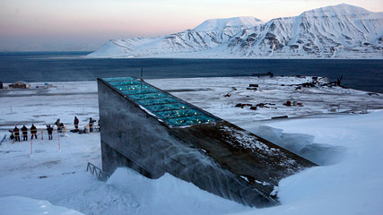 Work at global seed vault accelerates – Concerned farmers from Australia will deposit 301 new samples