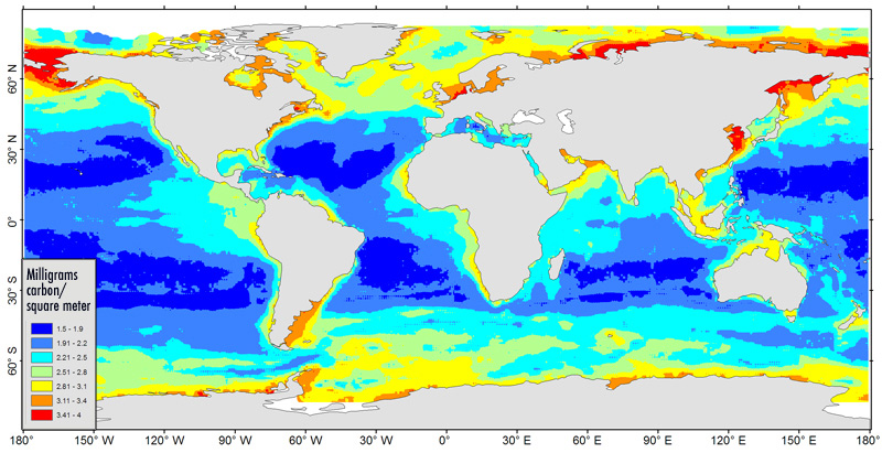 Understanding the patterns of seafloor biomass