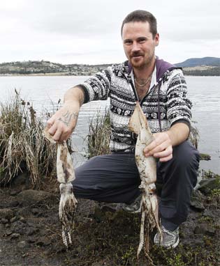 another-mass-animal-die-off-in-tasmania