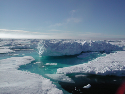 Arctic ocean show significant increase in freshwater content