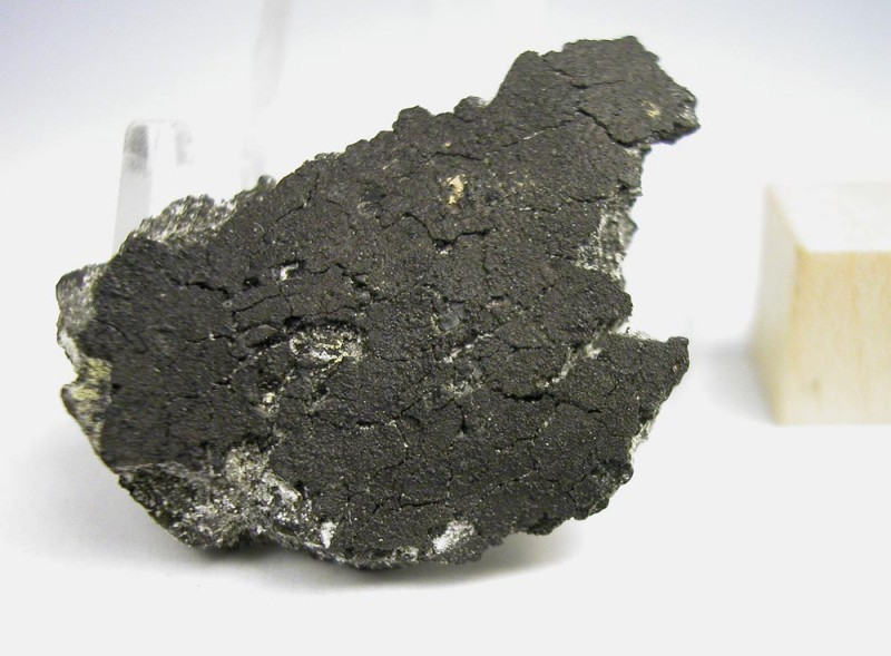 NASA Scientist Claims Evidence of Alien Life on Meteorite