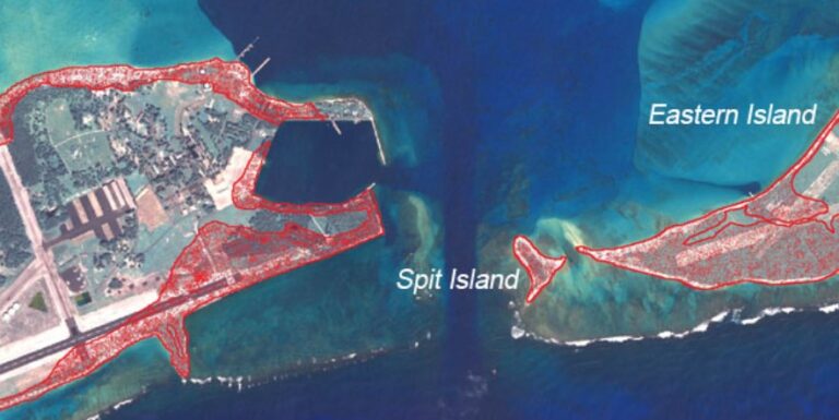 Thousands of seabirds swept by tsunami on Midway atoll