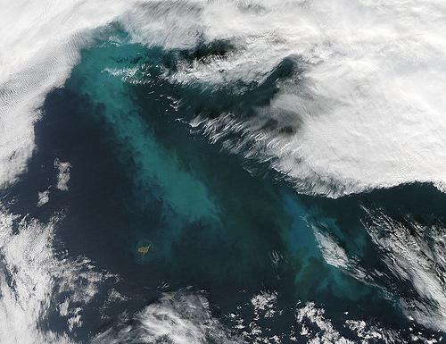 Arctic's spring phytoplankton blooms arrive earlier