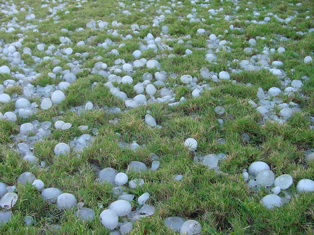Hailstorms damage crops across states in India