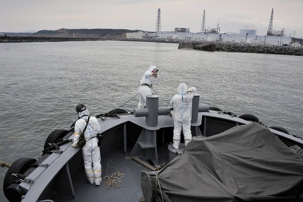 Radiation in Japan Seas: Risk of Animal Death, Mutation?
