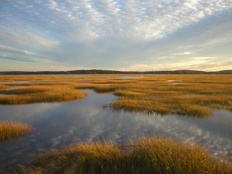 colonial-era-erosion-may-have-fueled-wetland-growth