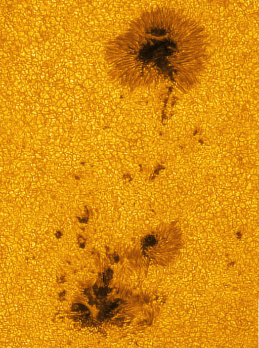 Big sunspot 1195 harbors energy for M-class solar flares
