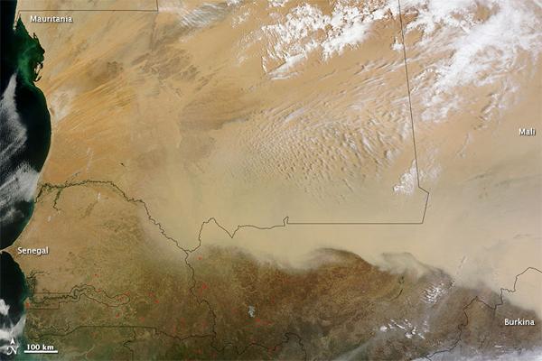 Dust storm blows over Sahara desert