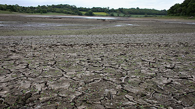 Five UK counties in the grip of drought