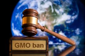 Peru implements ten-year ban on GMOs
