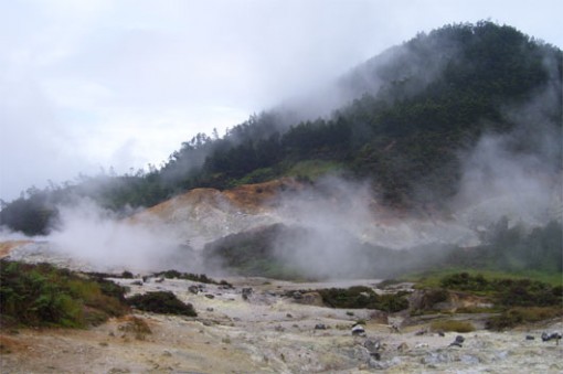 Mt. Dieng volcano’s CO2 levels hits three times higher than safe