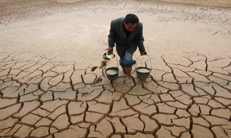 China: Rain quenches thirst of areas hit by drought