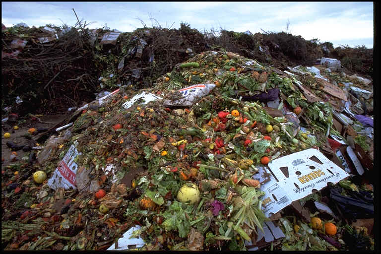 1.3 billion tons of food wasted every year
