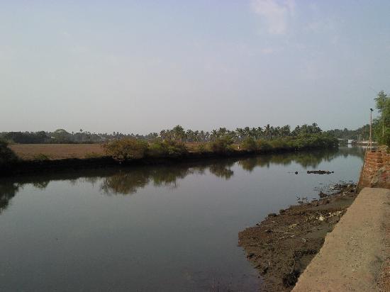 Water in India’s Goa region ‘unfit for bathing’