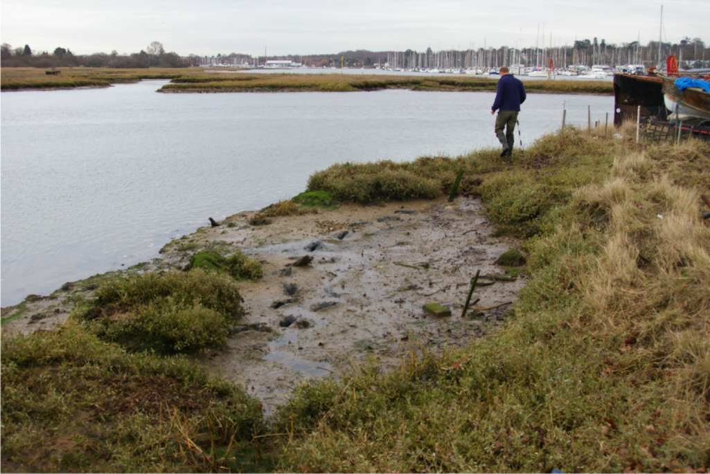 E. Coli can survive in streambed sediments for months