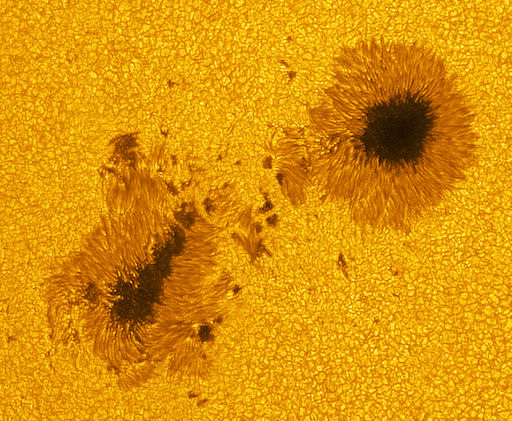 Massive double Sunspot 1263 – wider than the Earth – harbors energy for powerful X-class solar flares!