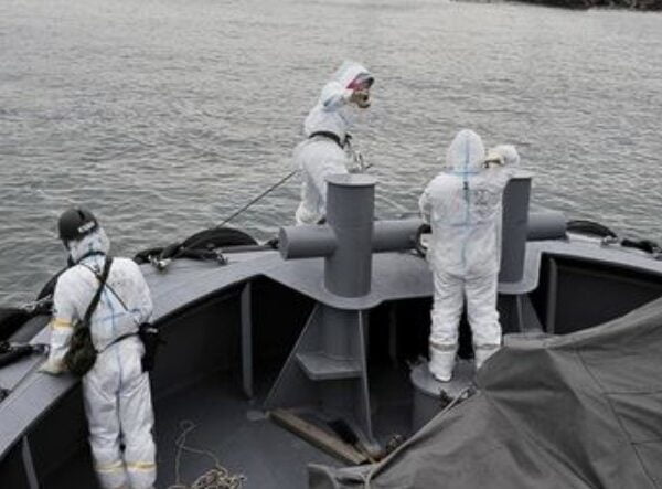 Excessive radioactive cesium found in Fukushima fish