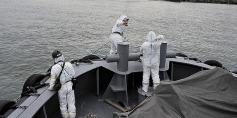 Excessive radioactive cesium found in Fukushima fish