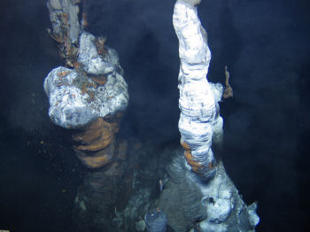 Field of hydrothermal vents discovered along the Mid-Atlantic Ridge