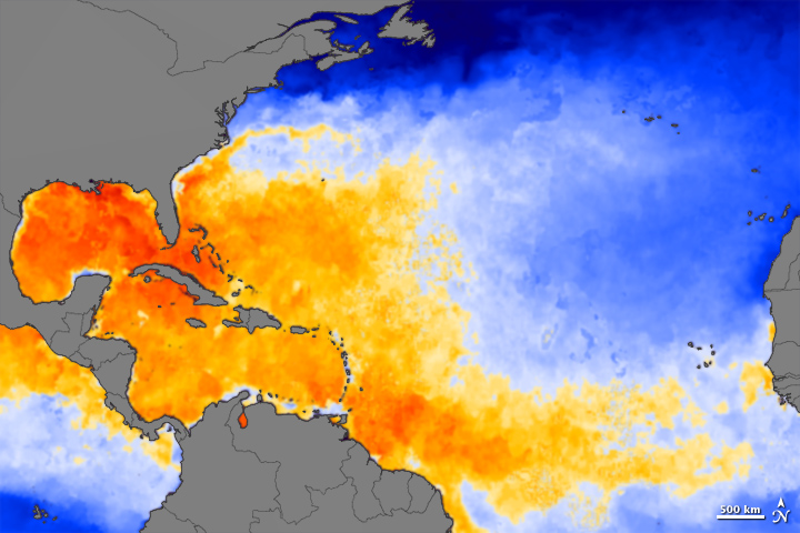 Atlantic heat source for Hurricane Irene