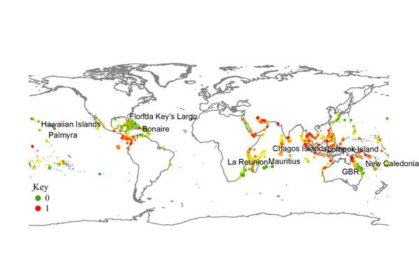 New coral map ranks reefs most at risk