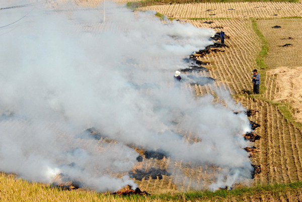 Burning straw creates heavy fog in China