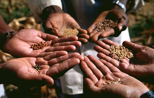 Feeding the world: Solutions for a Cultivated Planet
