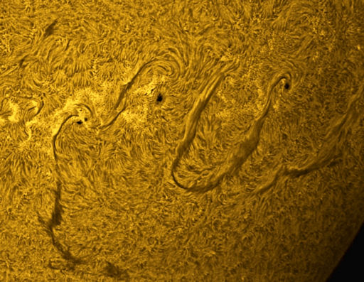 sunspots-connected-by-sinuos-filaments-of-magnetism