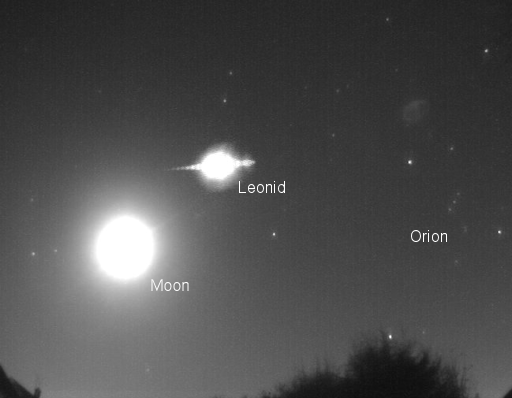 Leonid meteor shower peaked with a maximum rate of ~18 meteors per hour