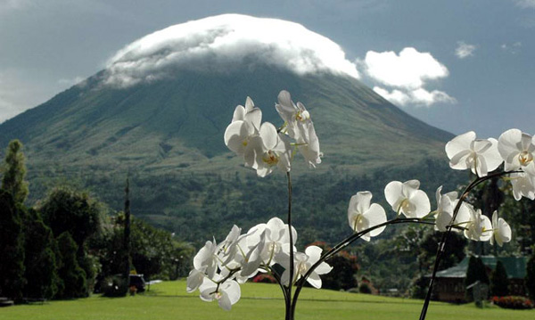 small-eruptions-continue-intermittendly-at-lokon-volcano-north-sulawesi