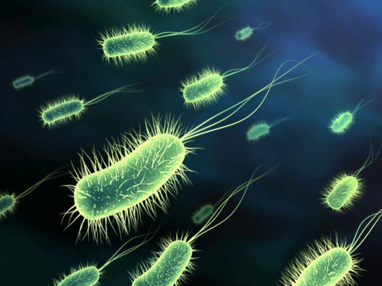 New study: Probiotics help protect gut from radiation damage