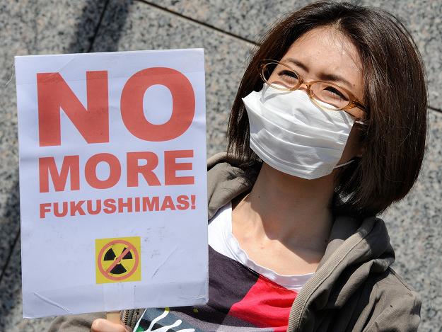 Japan finds 14 water leaks at Fukushima