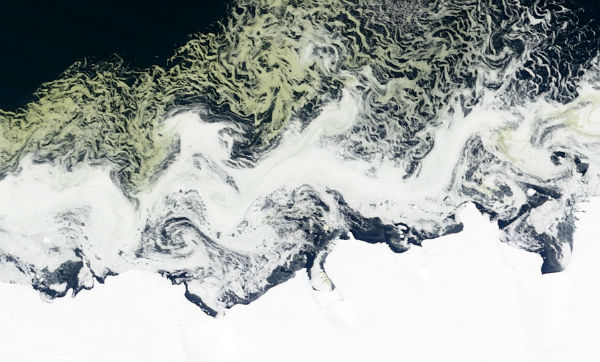 Remarkable natural event seen from space: Algae-coated ice phenomena at Princess Astrid Coast, Antarctica