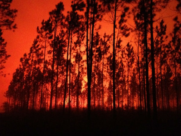 wildfire-spreads-across-florida-current-conditions-and-long-term-outlook