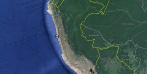 Large animal die-offs along Peruvian coast