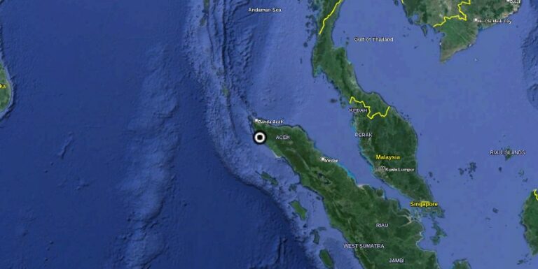 Sumatran elephant found poisoned by humans in Indonesia