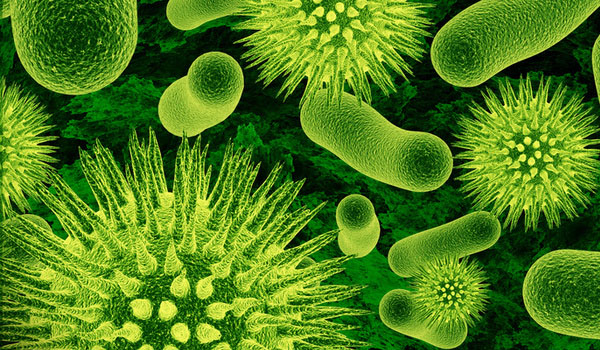 Scientists fight superbugs naturally with copper