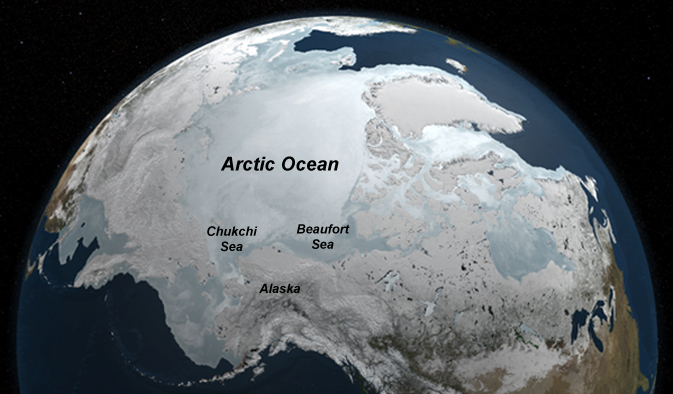 Unexpected discovery – Arctic Ocean is richer in microscopic plants than any other ocean on Earth