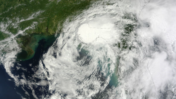 Tropical Storm Debby made landfall in Florida