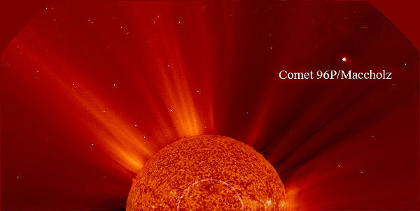 Comet 96P/Maccholz is passing by the Sun, now visible at STEREO and LASCO coronographs