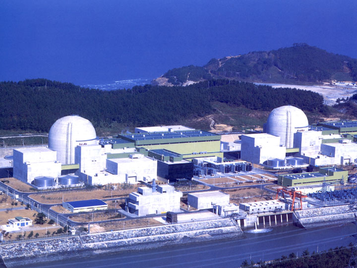 south-korean-nuclear-reactor-automatically-shutdown-south-korea