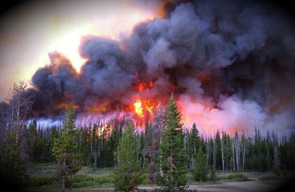 hundreds-of-wildfires-burn-across-russia-smoke-reaches-mongolia