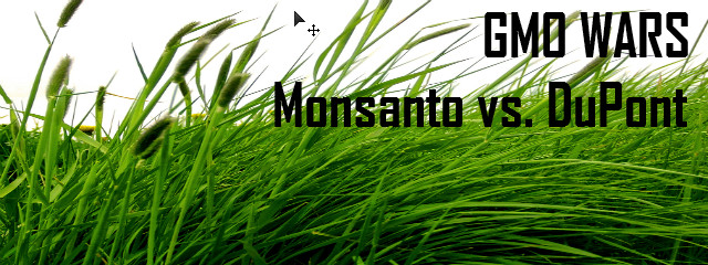 GMO wars – Monsanto suing DuPont to see who will dominate the world’s food supply