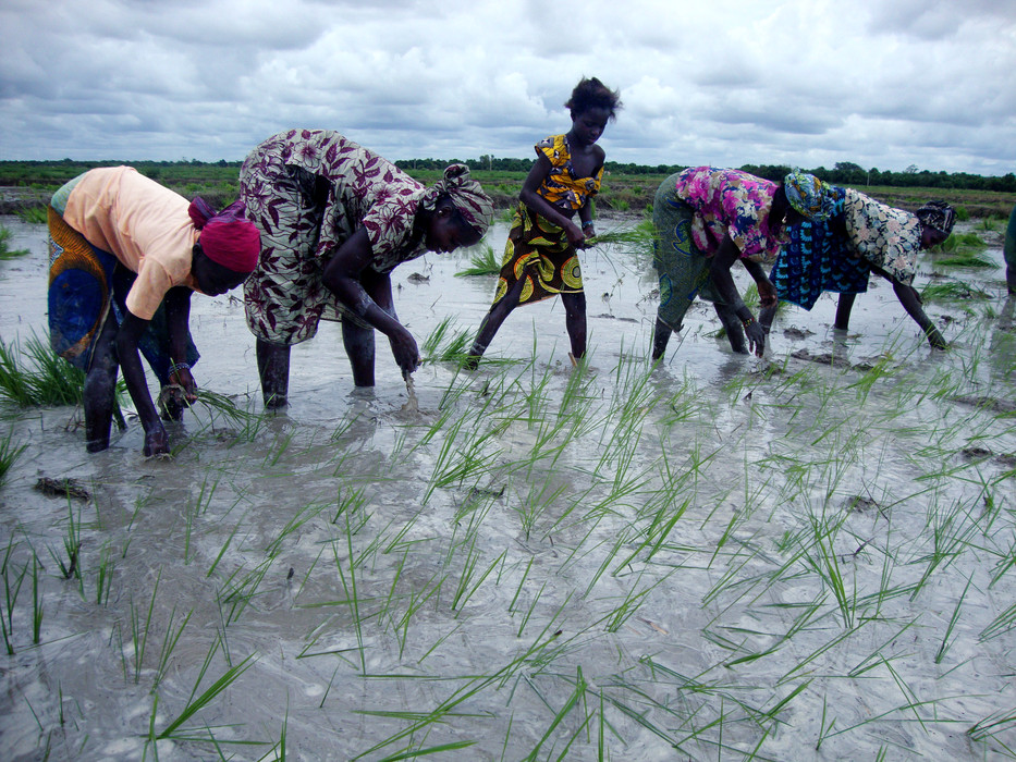 Access to water resources key for food security