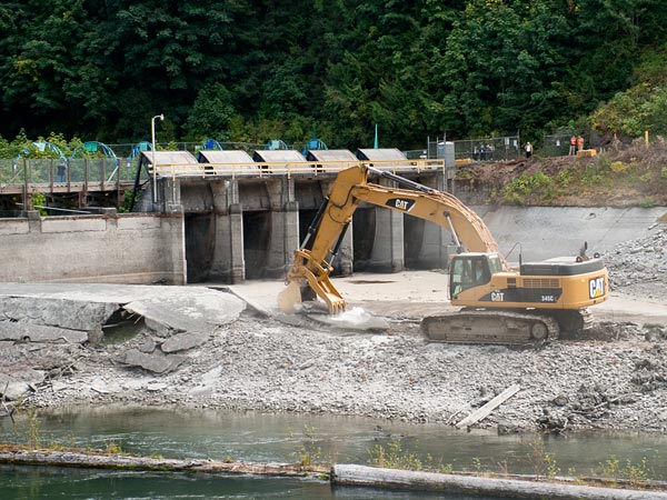 Elwha River – The largest dam removal in US history