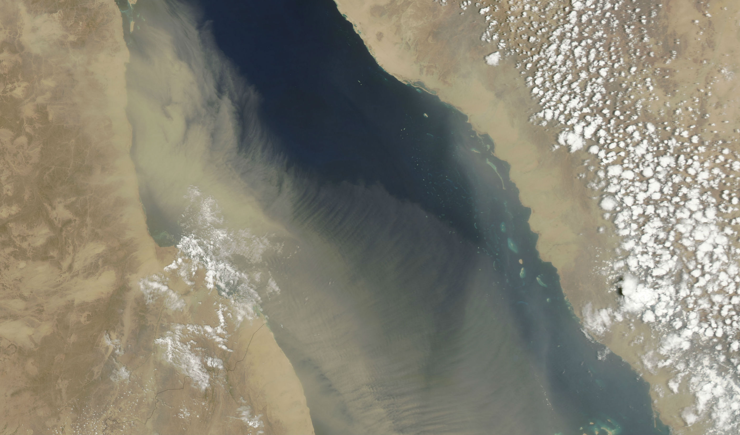 Dust storm over the Red Sea