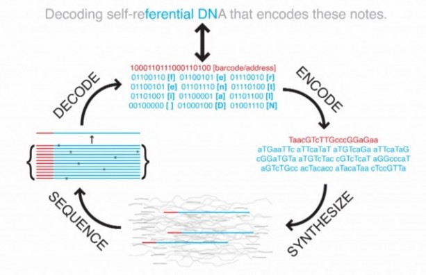 DNA self referencial encoding and decoding