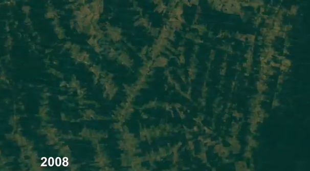 amazon-deforestation-timelapse