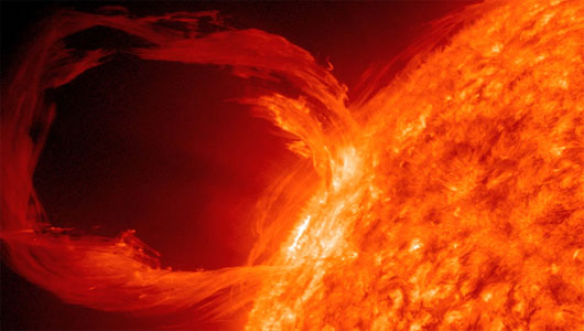 Solar storms and mass animal deaths – the connection