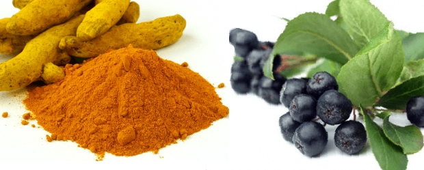 Groundbreaking study: Aronia, curcumin extracts effectively kill brain cancer cell line